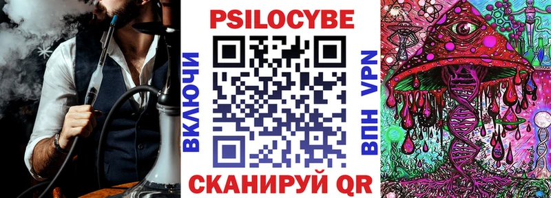 блэк спрут ссылка  Курганинск  Галлюциногенные грибы Cubensis  где купить наркоту 