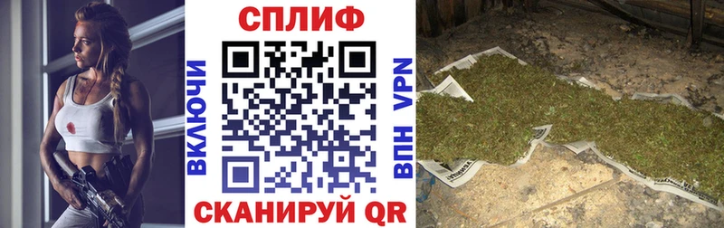 купить наркотики цена Курганинск Каннабис гибрид